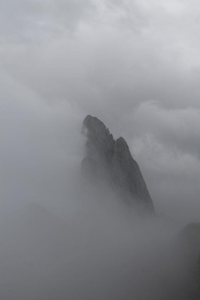 IMG_4754